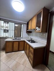 Parc Vista (D22), Condominium #497255931